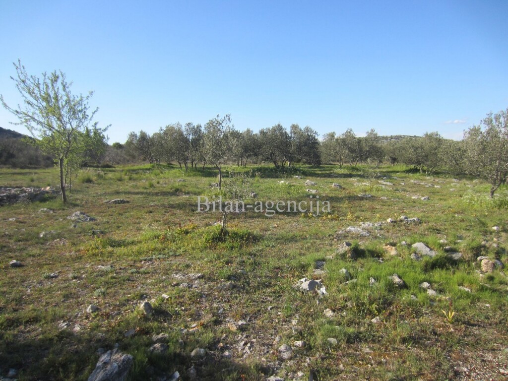 Image 4886009 - 7