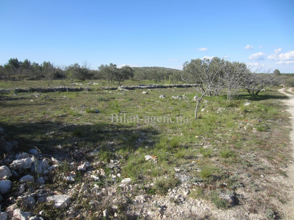 Image 4886009 - 2