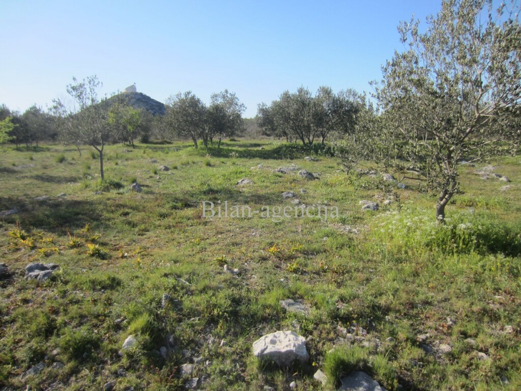 Image 4886009 - 6