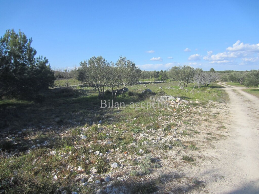 Image 4886009 - 5