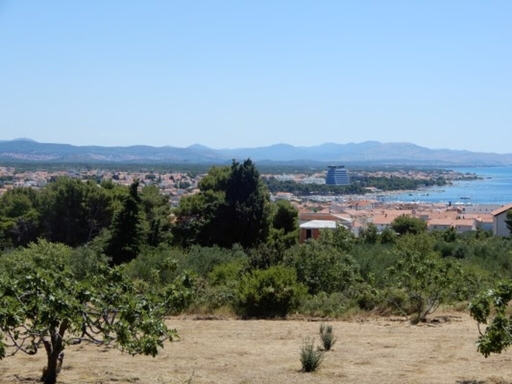 Image 4886016 - 5