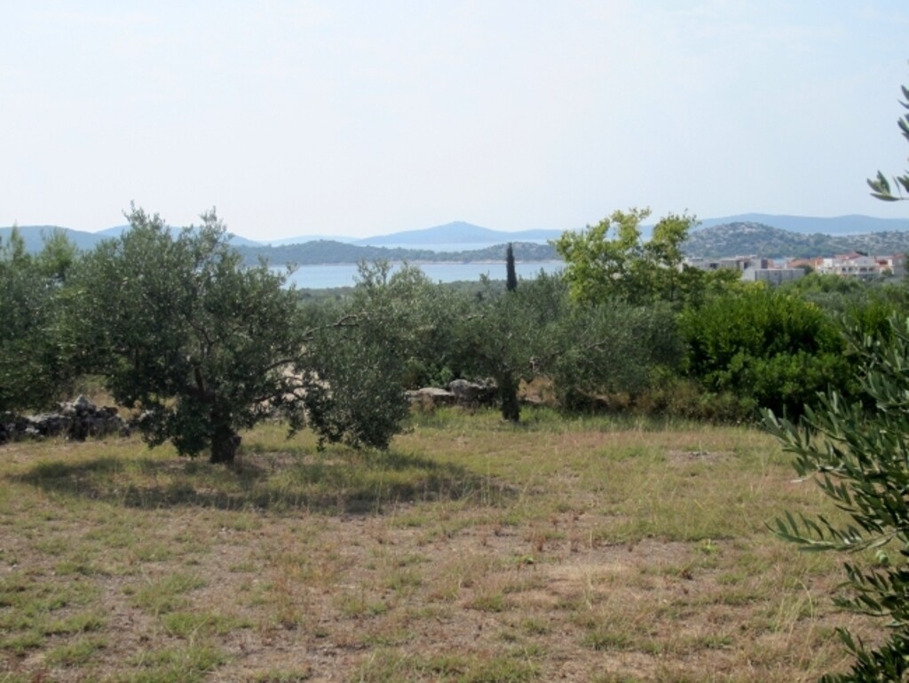 Image 4886056 - 1