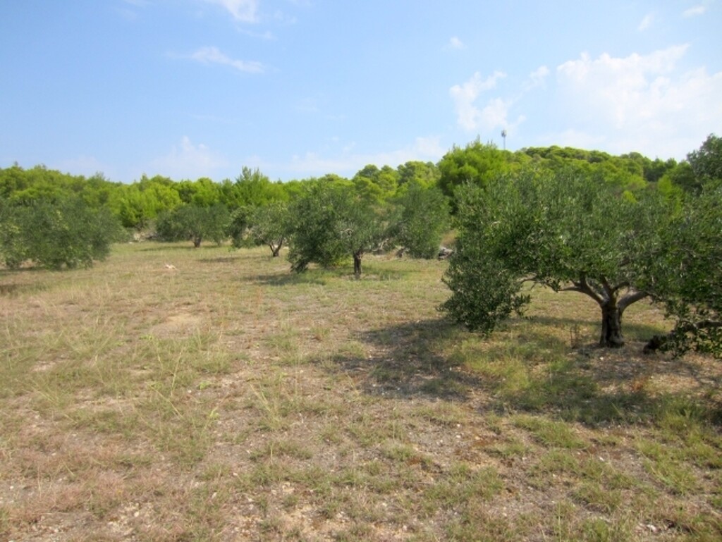 Image 4886056 - 5