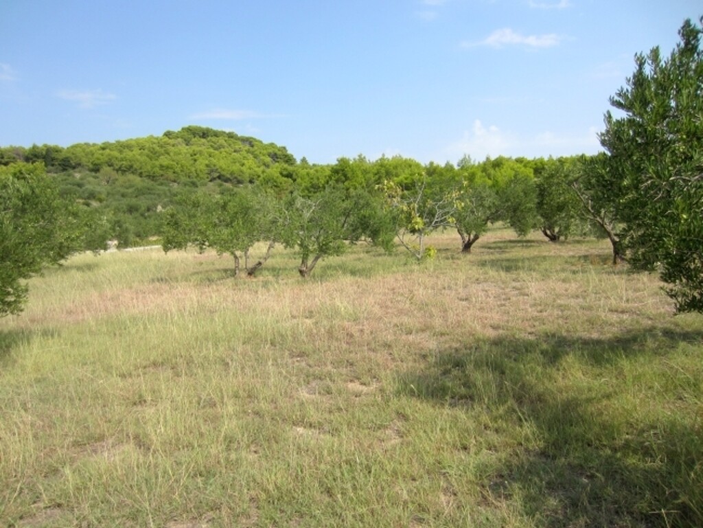 Image 4886056 - 4