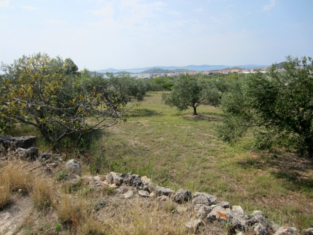 Image 4886056 - 6