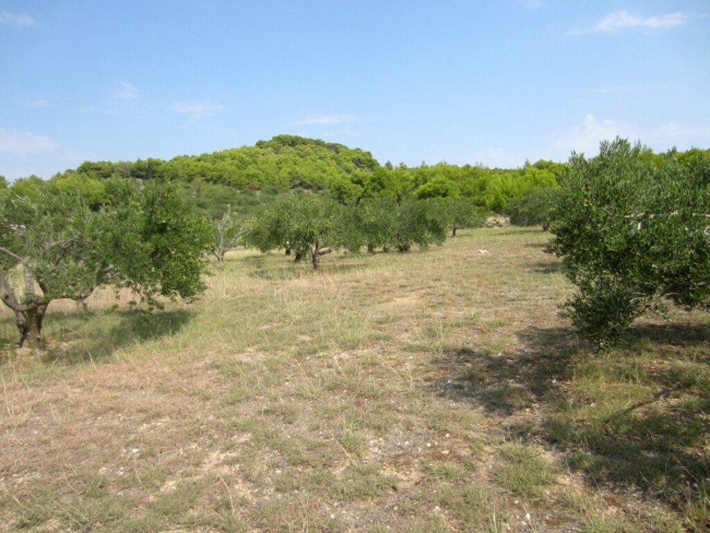 Image 4886056 - 3