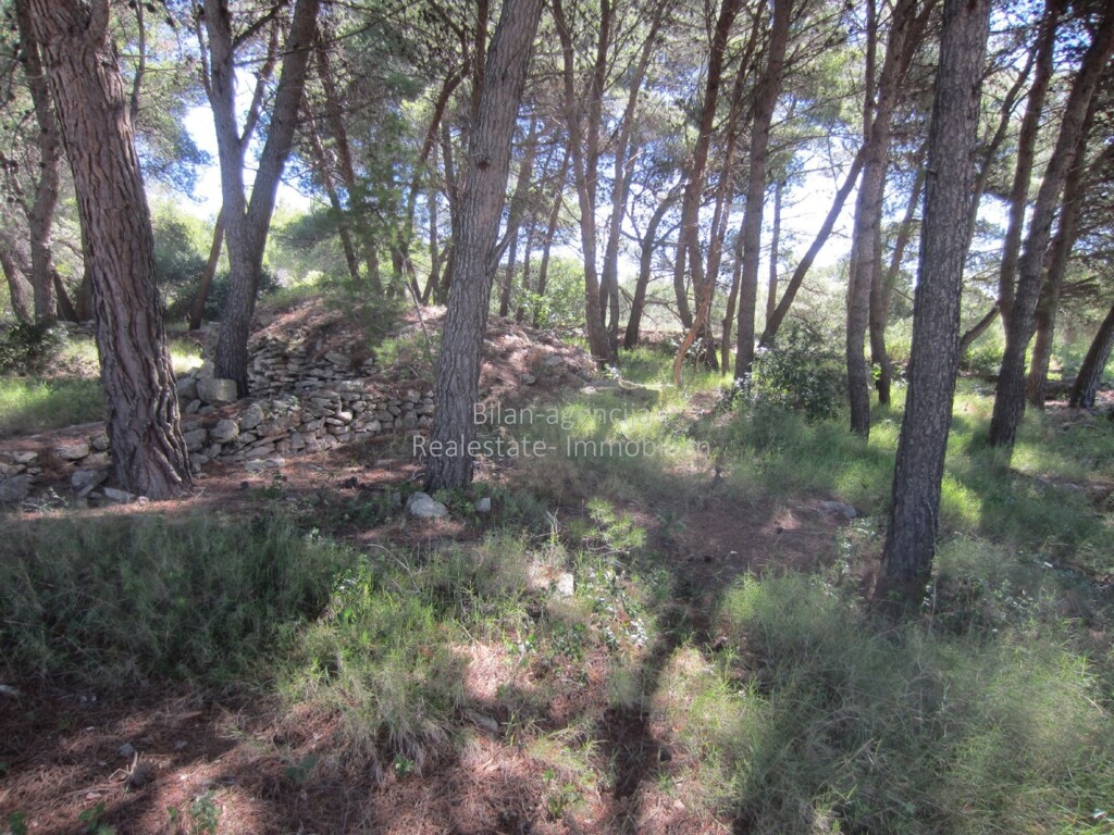 Image 4886058 - 6