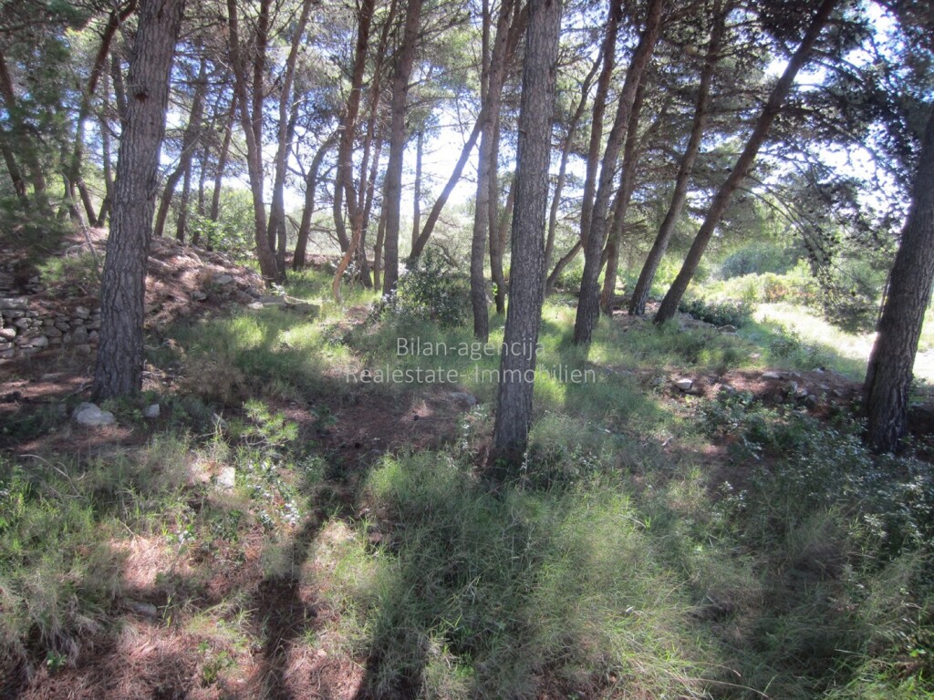 Image 4886058 - 3