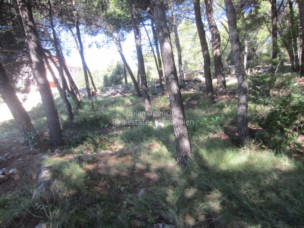 Image 4886058 - 7