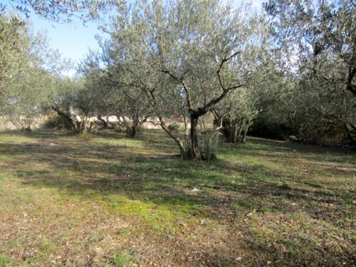 Vodice, građevinsko zemljište, 1.600 m2
