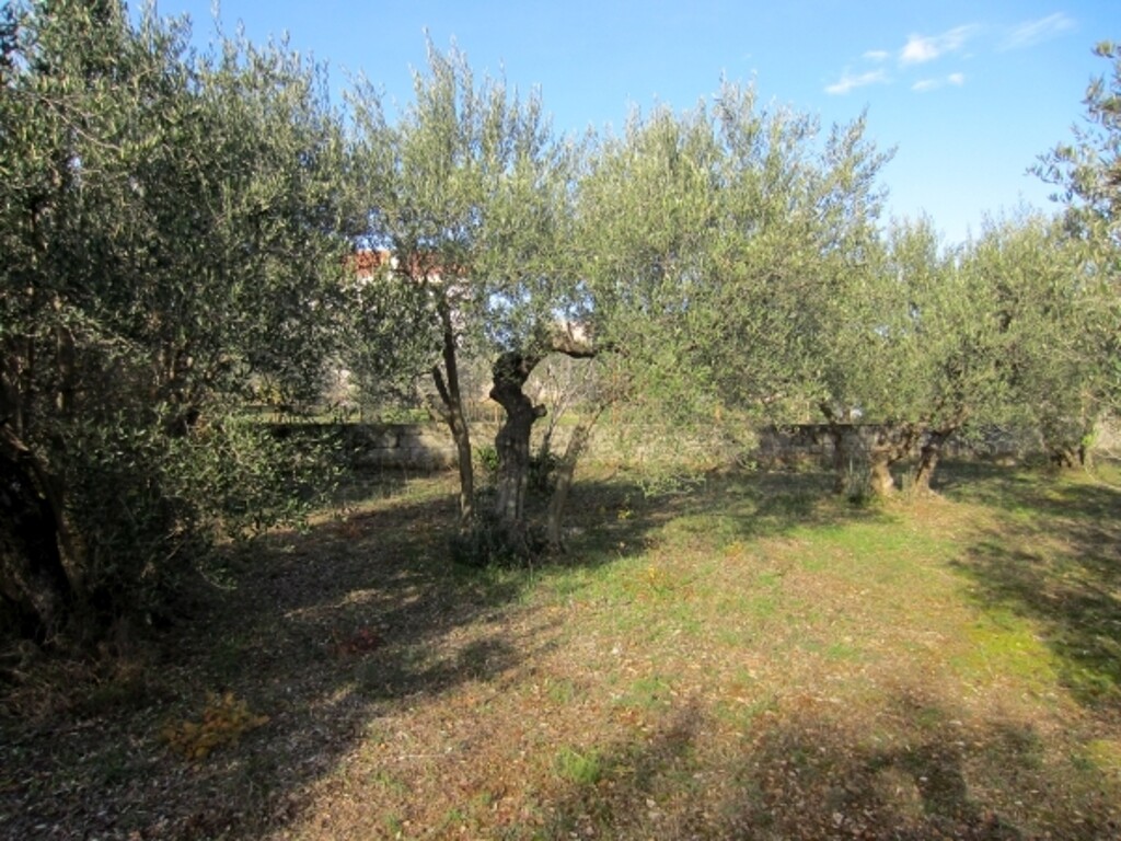 Image 4886085 - 3