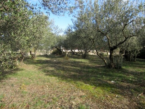 Vodice, građevinsko zemljište, 1.600 m2
