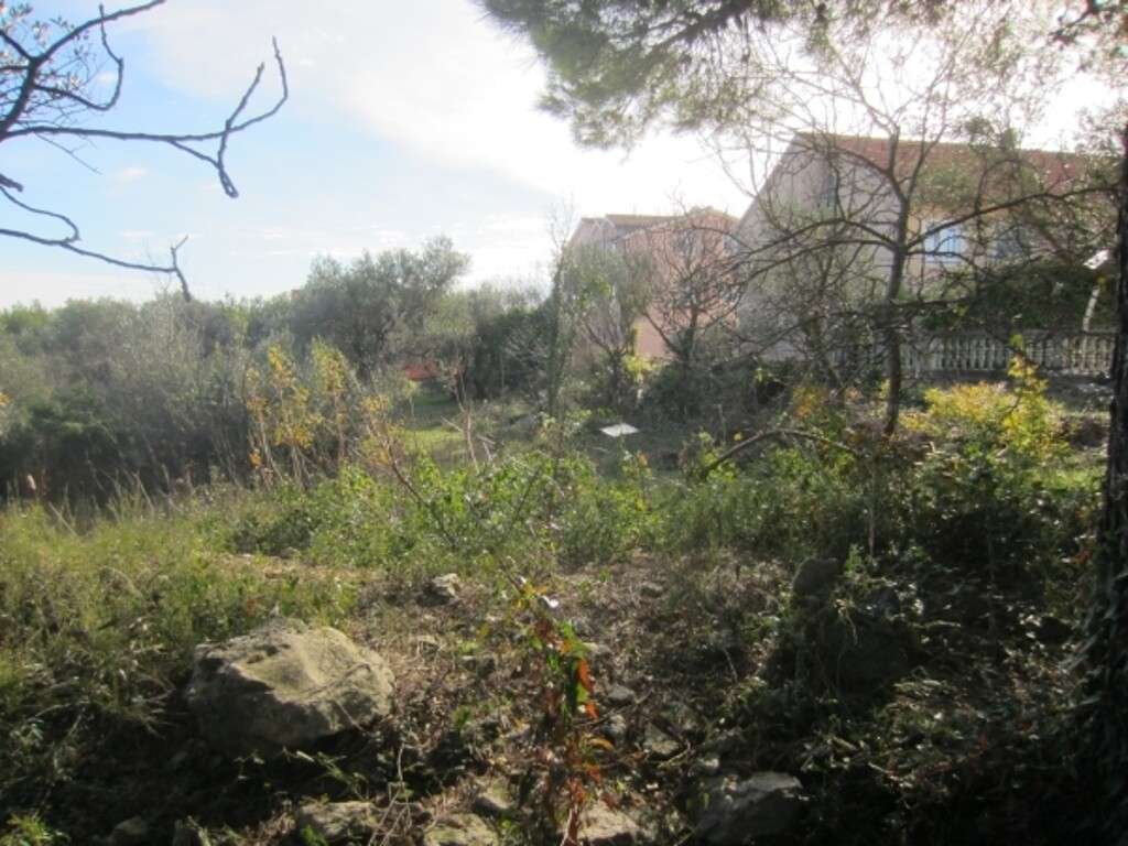 Image 4886090 - 3