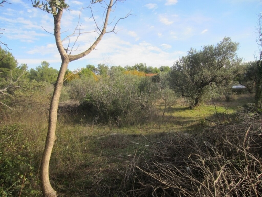 Image 4886090 - 4