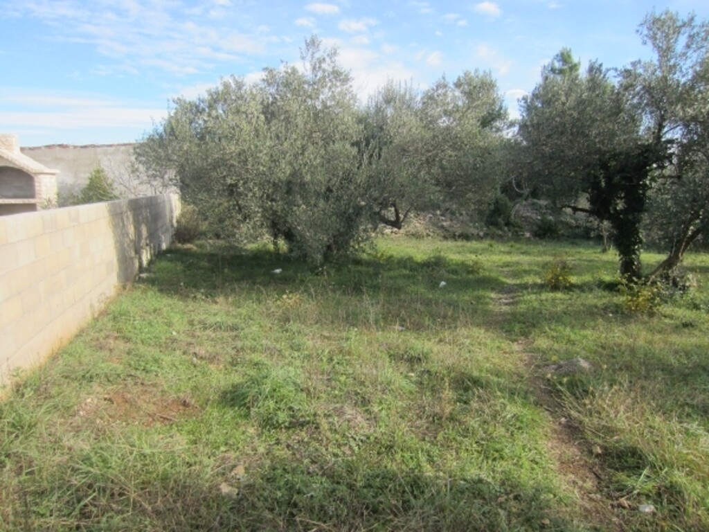 Image 4886090 - 6