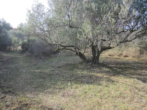 Vodice građevinsko zemljište, 5.800 m2