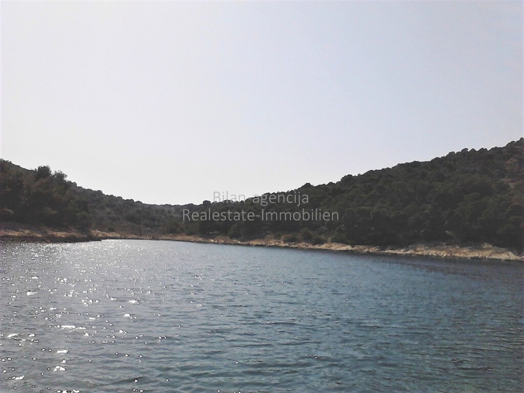 Image 4886117 - 5