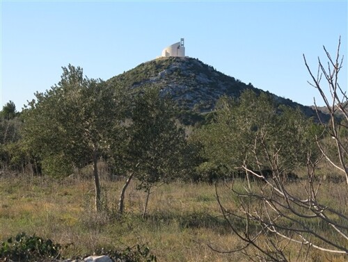 Vodice, maslinik od 5900 m2, 11€ po m2
