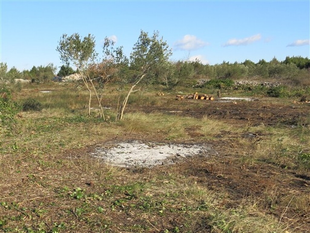 Image 4886170 - 2