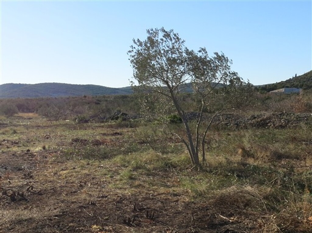 Image 4886170 - 6