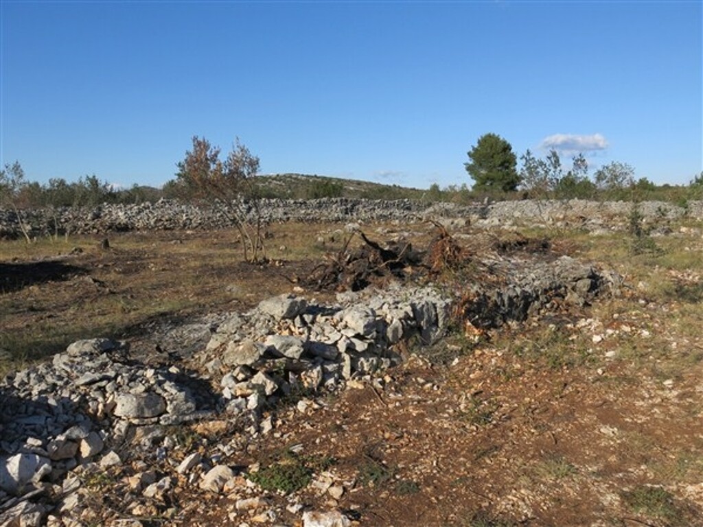 Image 4886170 - 5