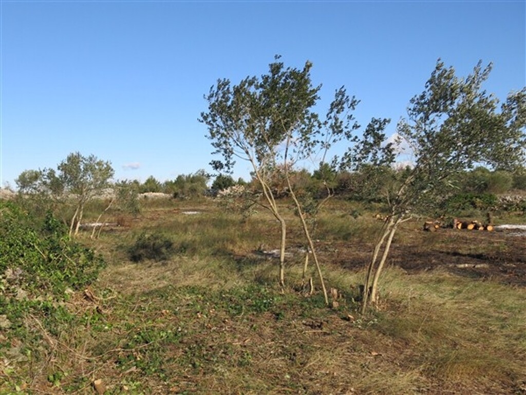 Image 4886170 - 3