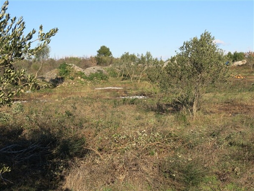 Image 4886170 - 4