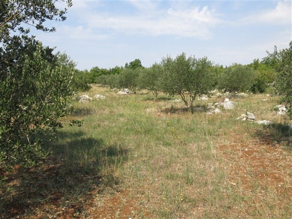 Image 4886197 - 4