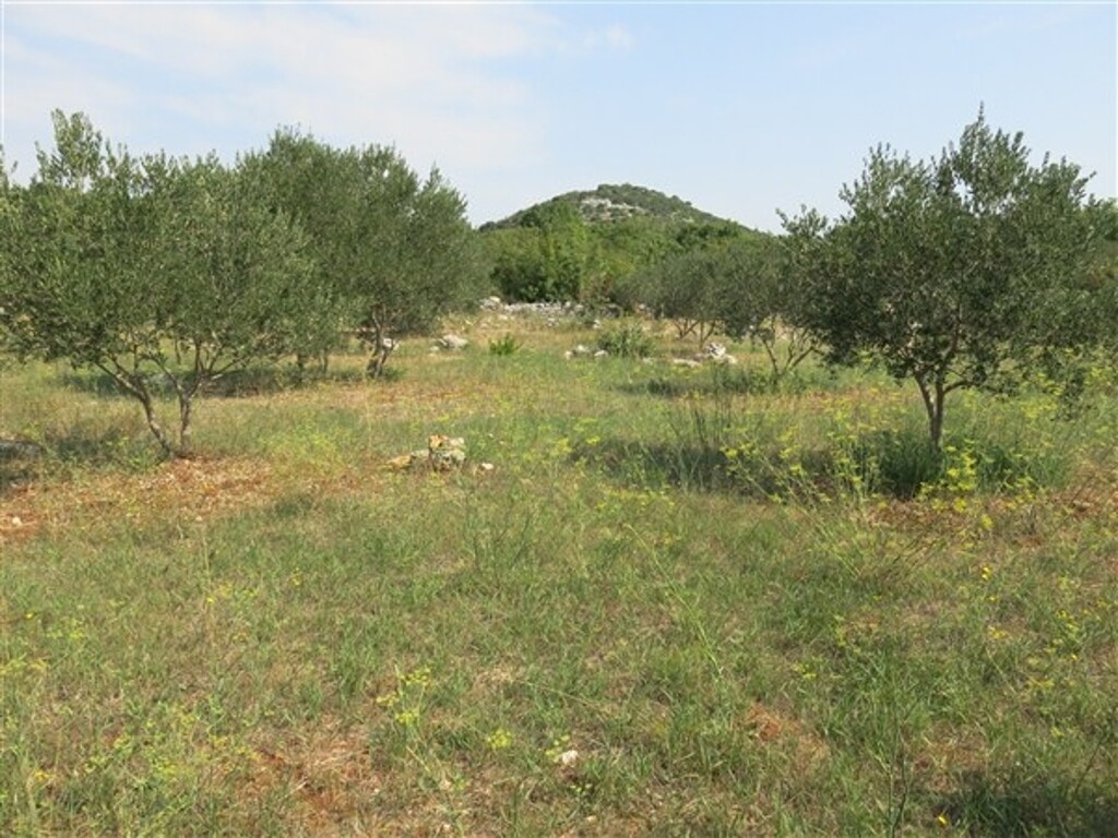 Image 4886197 - 3
