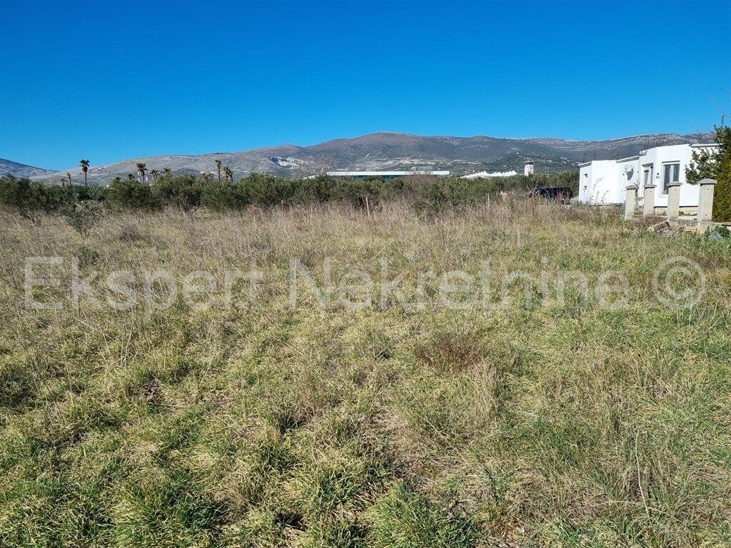 Image 4887314 - 1