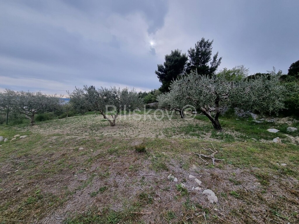 Image 4887913 - 5