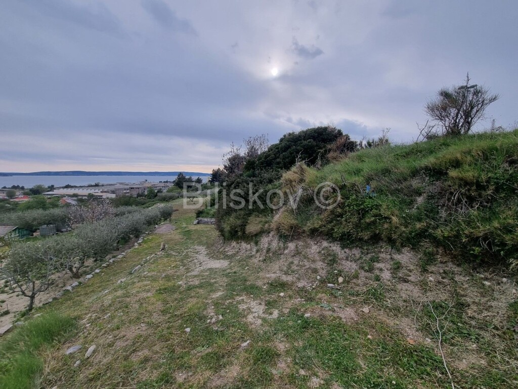 Image 4887913 - 7