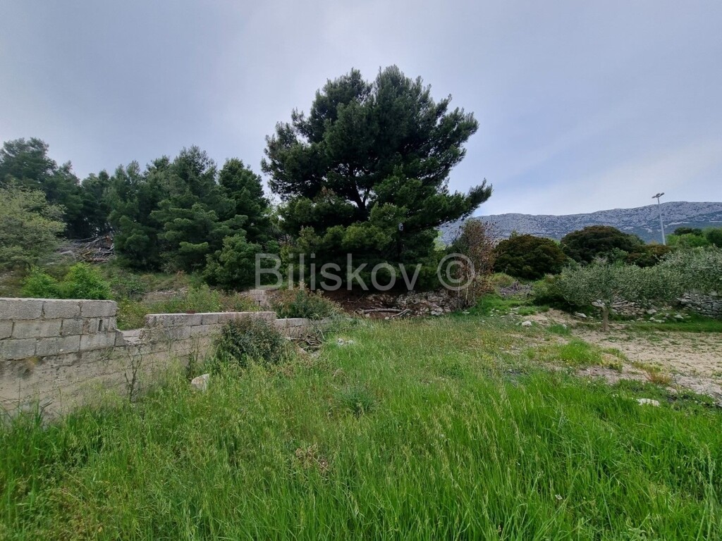 Image 4887913 - 4