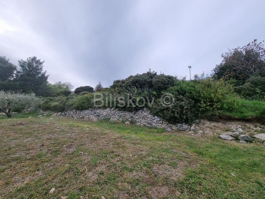 Image 4887913 - 6