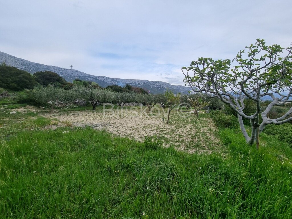 Image 4887913 - 3