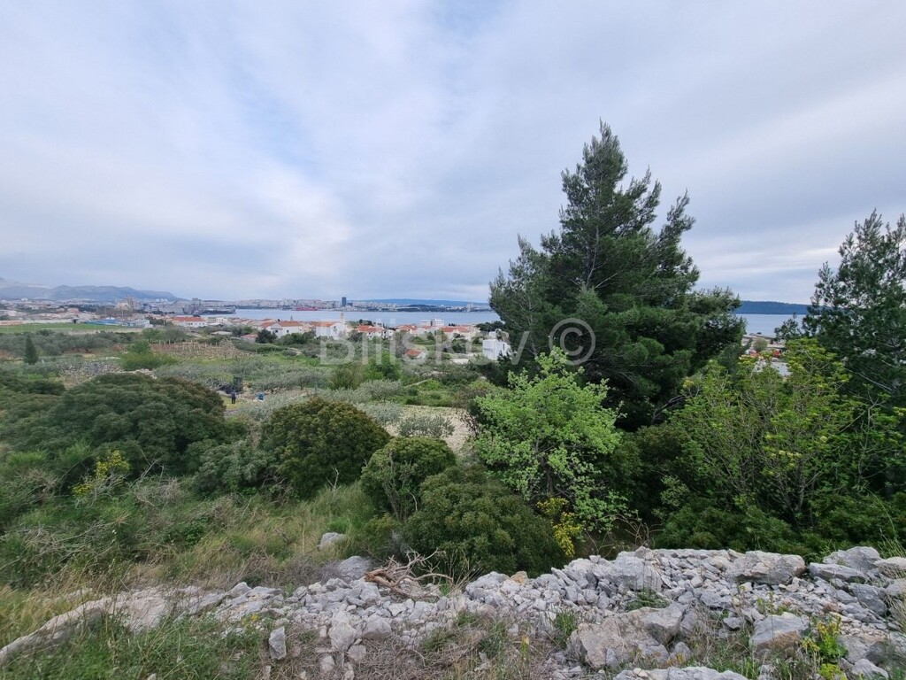 Image 4887913 - 1