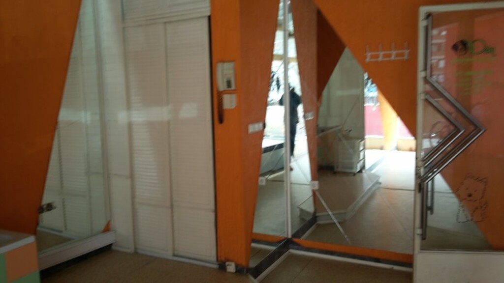 Image 4889591 - 3