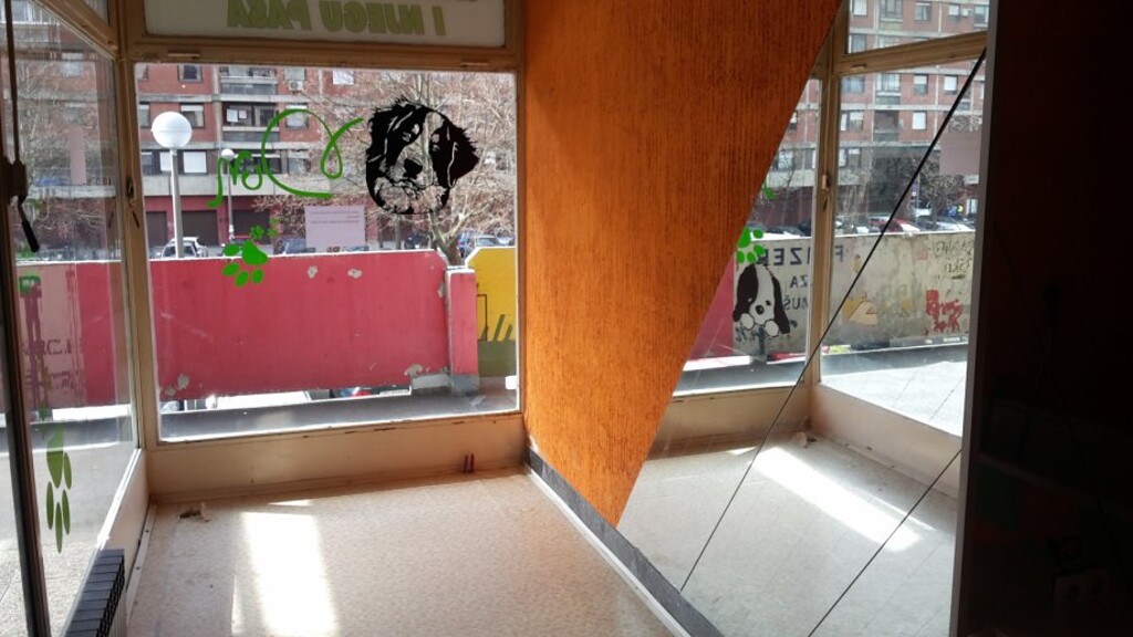 Image 4889591 - 10