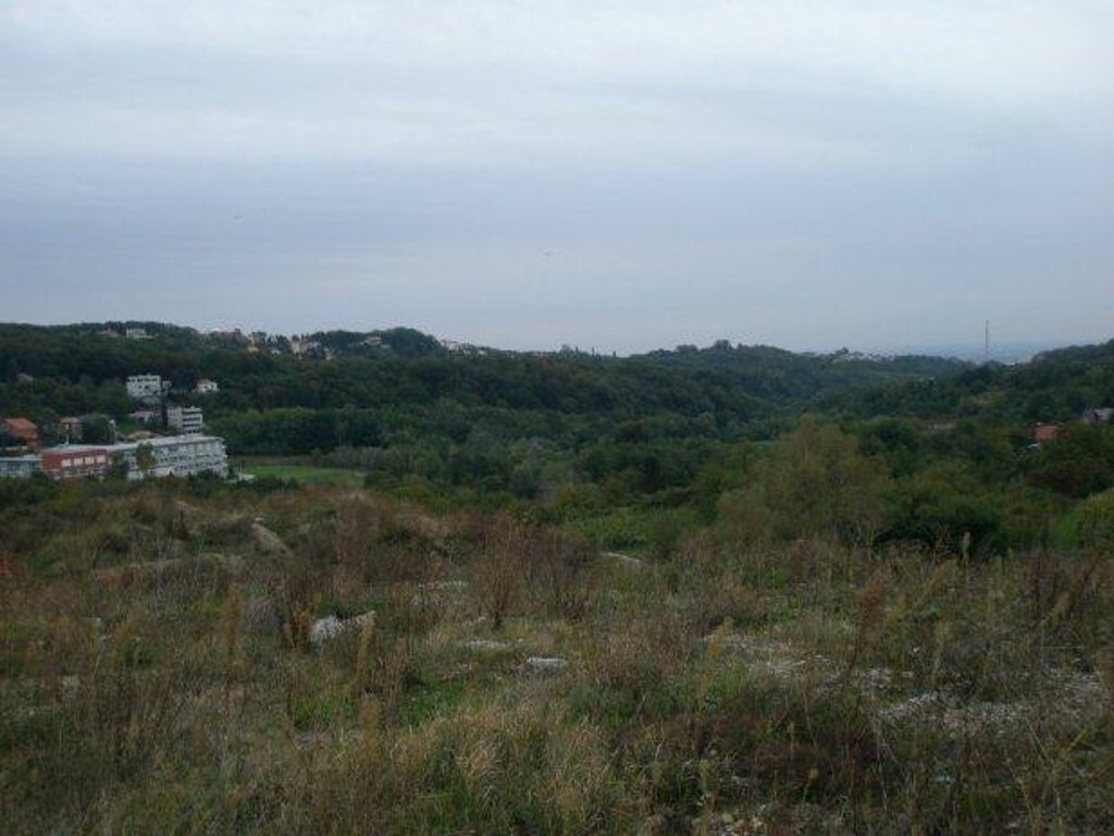 Image 4889602 - 1