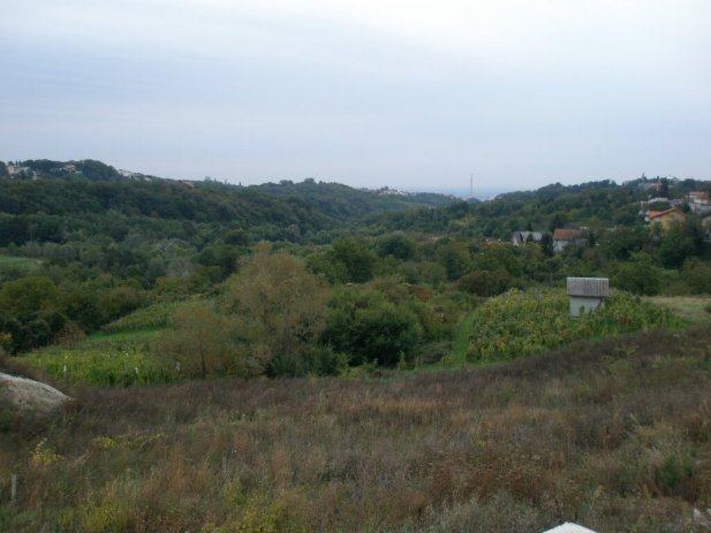 Image 4889602 - 3