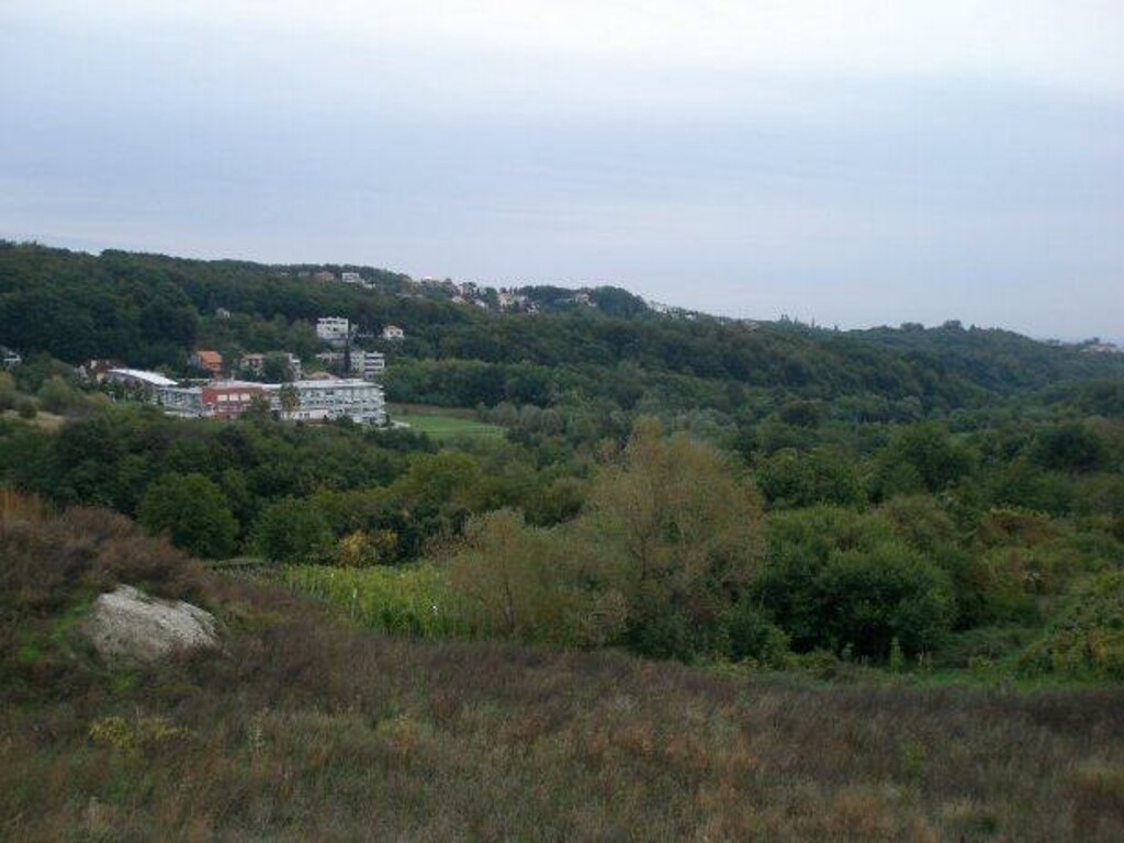 Image 4889602 - 4