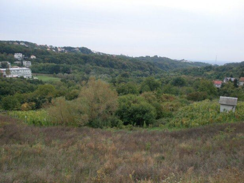 Image 4889602 - 5