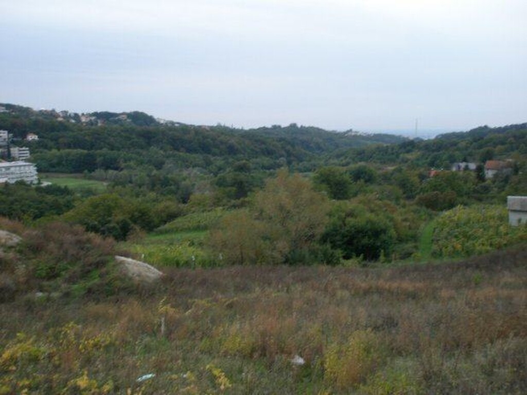 Image 4889602 - 2