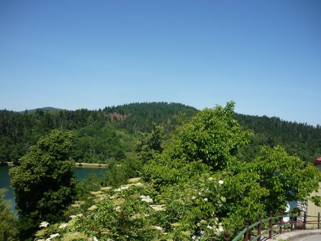 Image 4889604 - 2