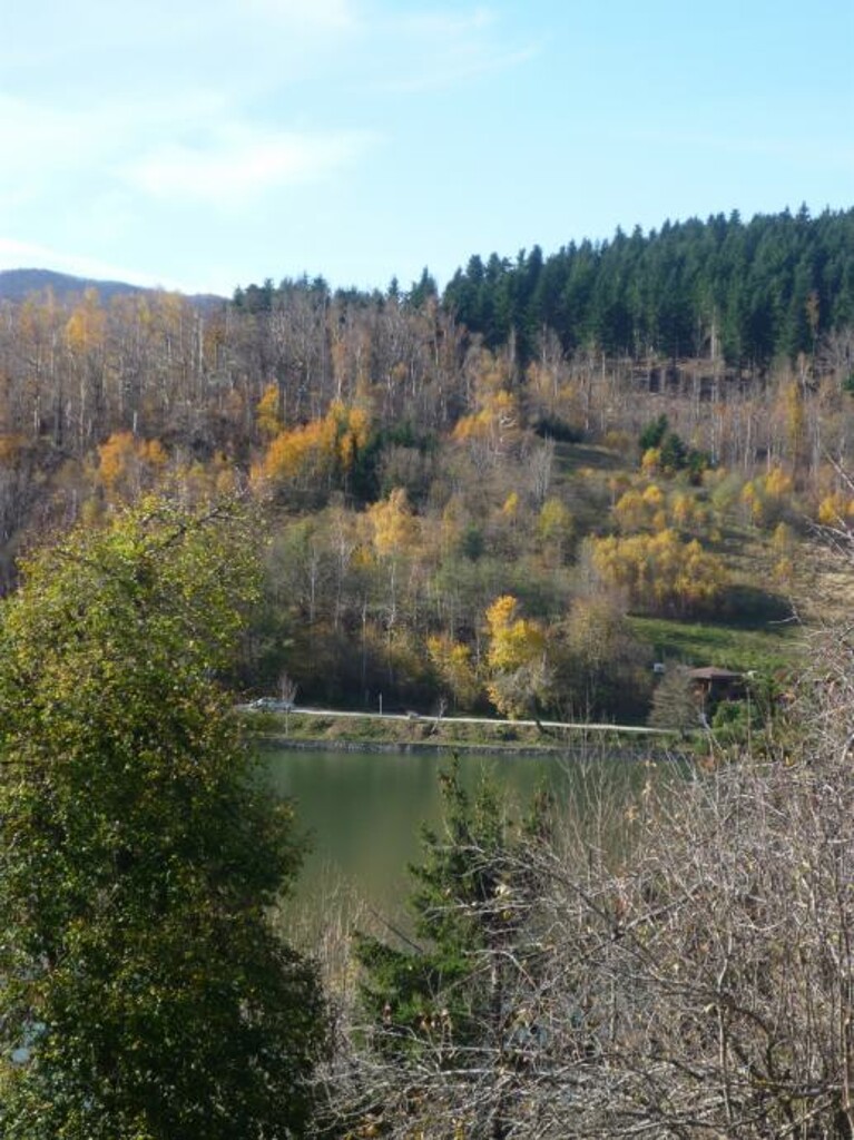 Image 4889604 - 5