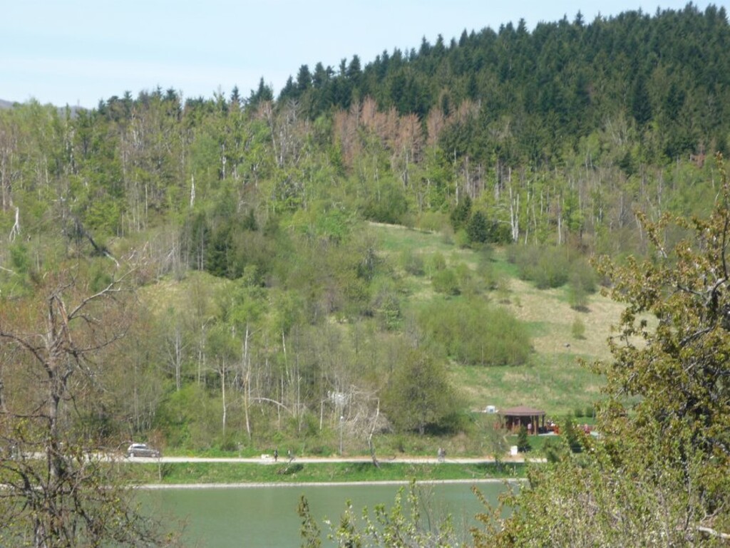 Image 4889604 - 1