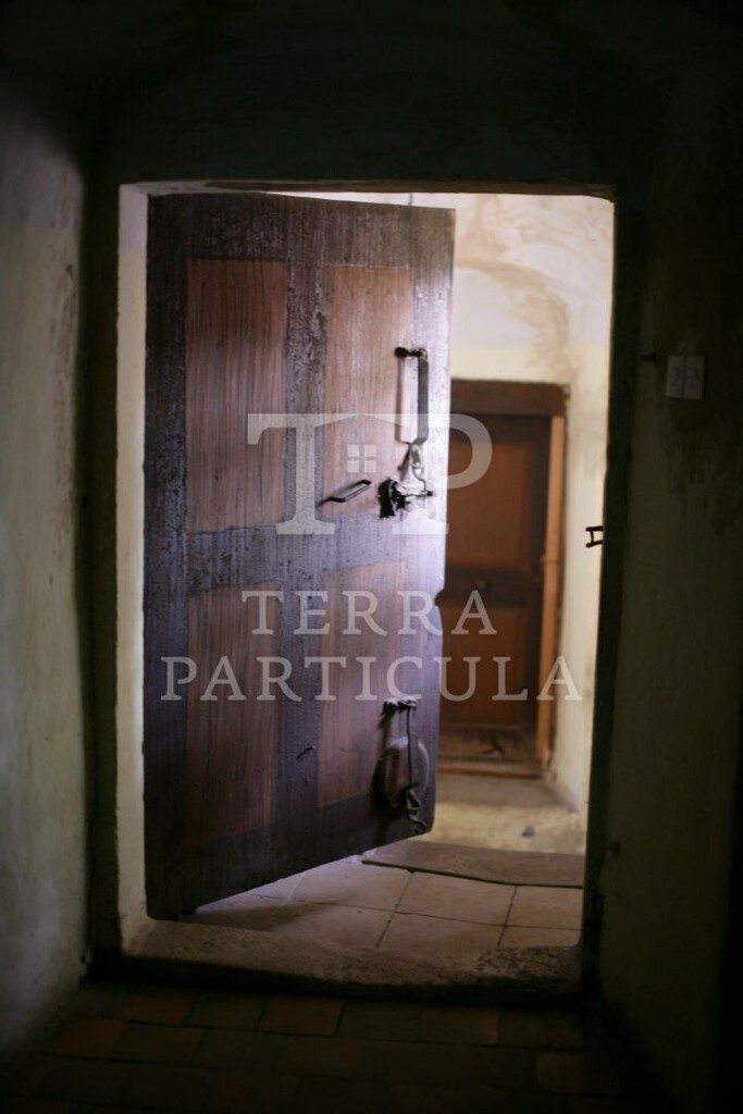 Image 4890297 - 21