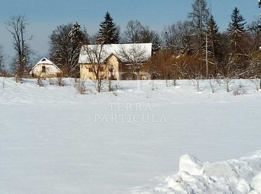 Image 4890297 - 11