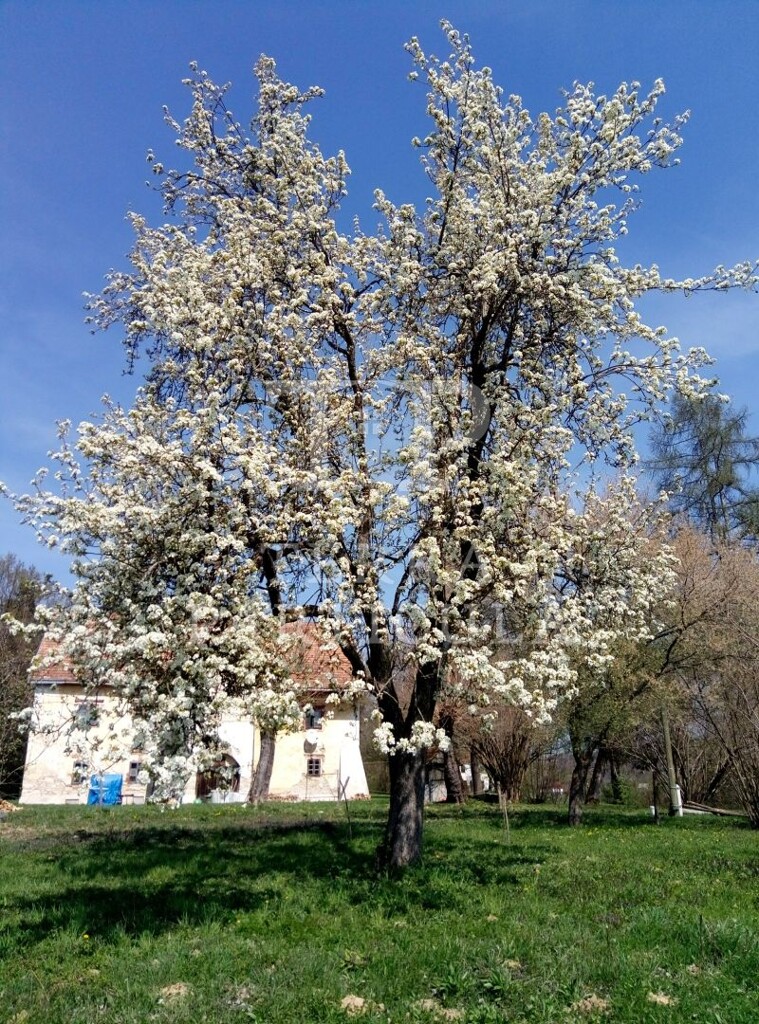 Image 4890297 - 7