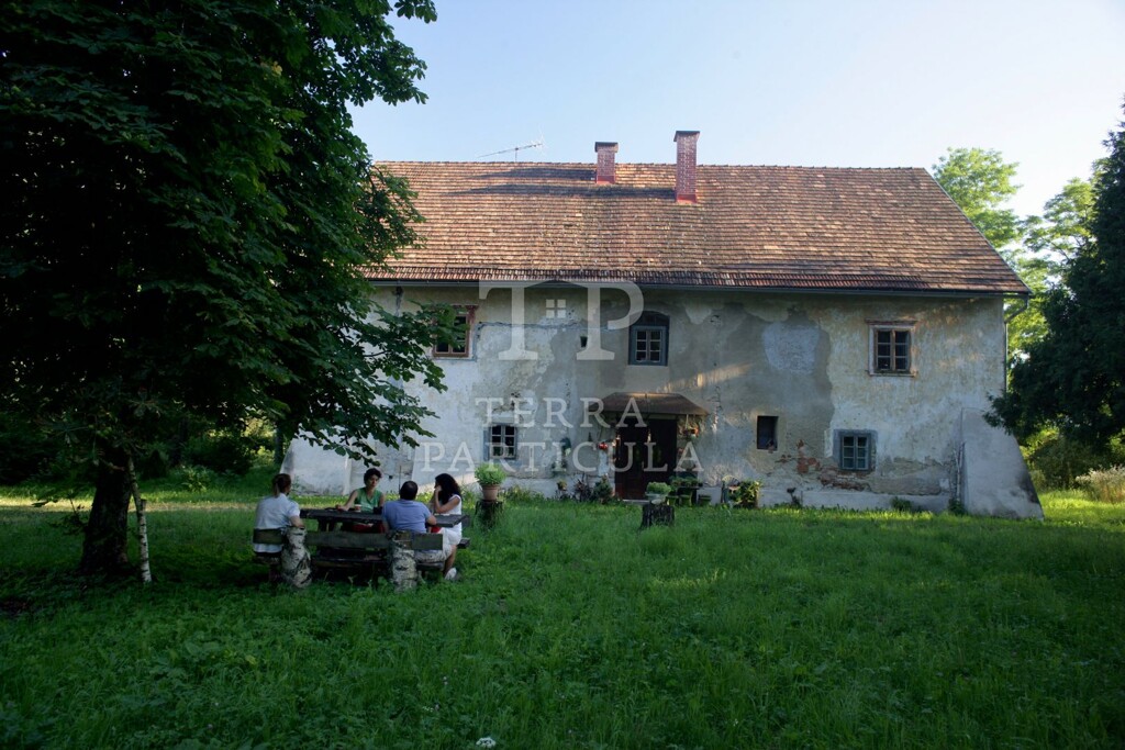 Image 4890297 - 8